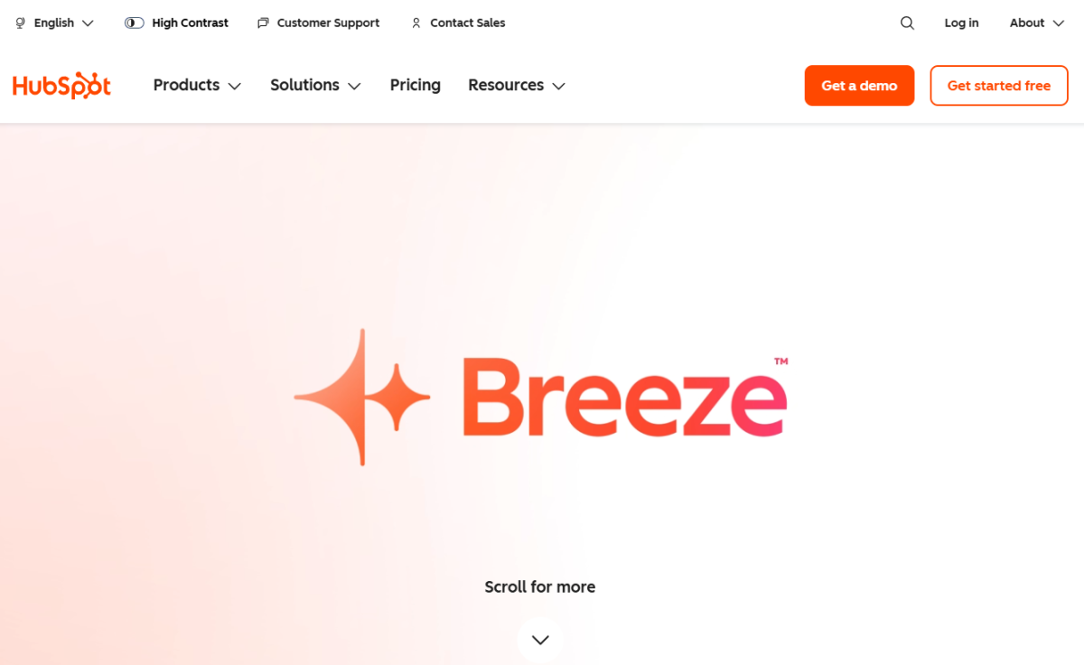 HubSpot AI Screenshot