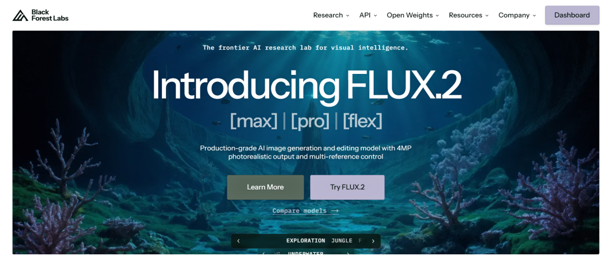Black Forest Labs Screenshot